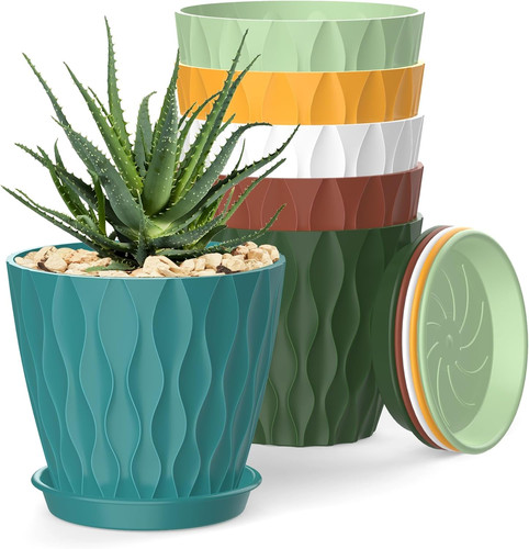 Inch plant pots pack - 6,